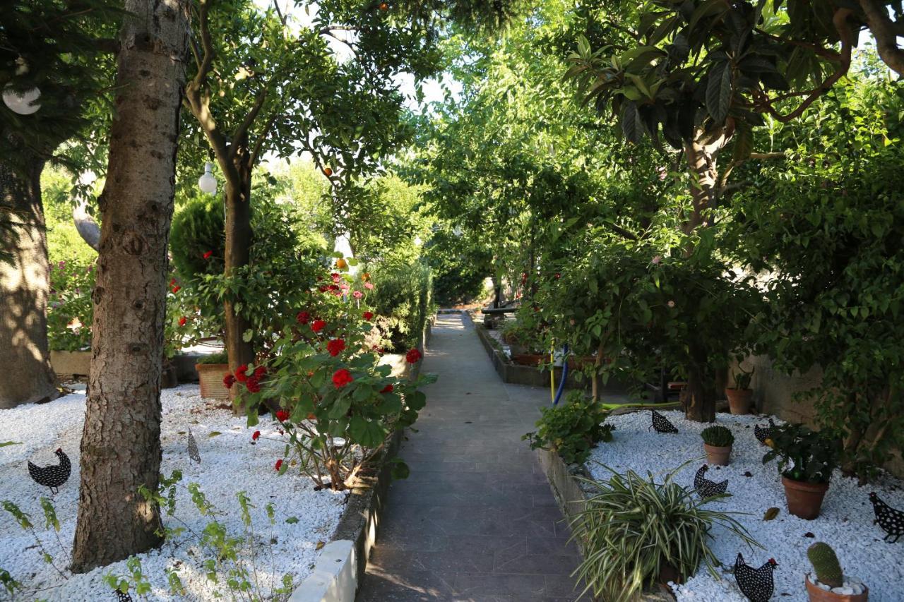 B&B Villa Gemini ซานตาเญลโล ภายนอก รูปภาพ