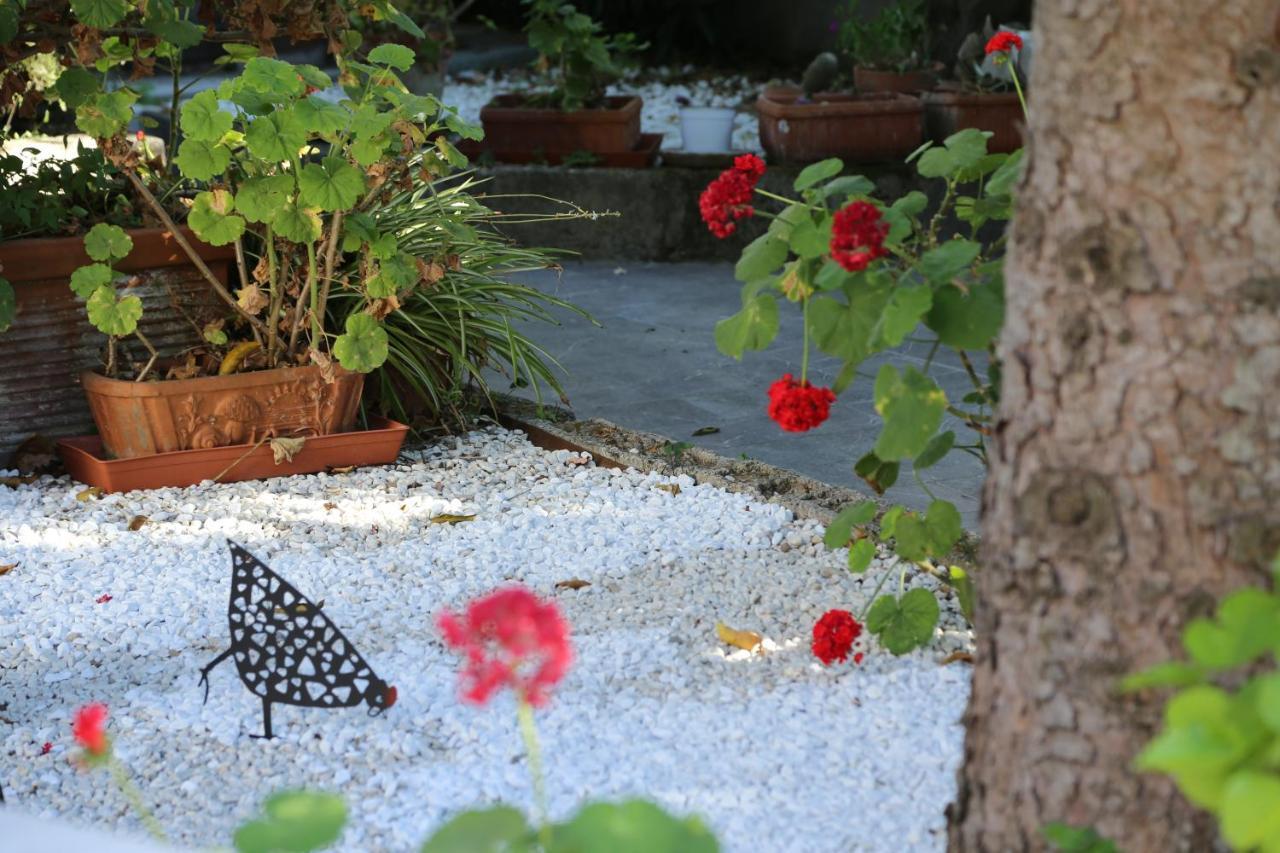 B&B Villa Gemini ซานตาเญลโล ภายนอก รูปภาพ